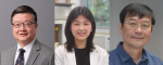 HKU Leads the Largest Share of Theme-based Research Scheme Projects HKU Leads the Largest Share of Theme-based Research Scheme Projects